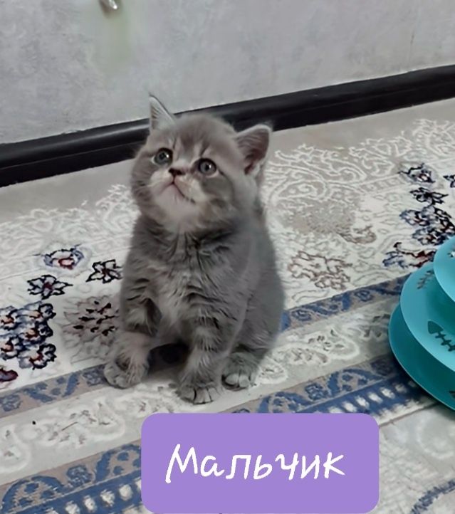 50 USD
