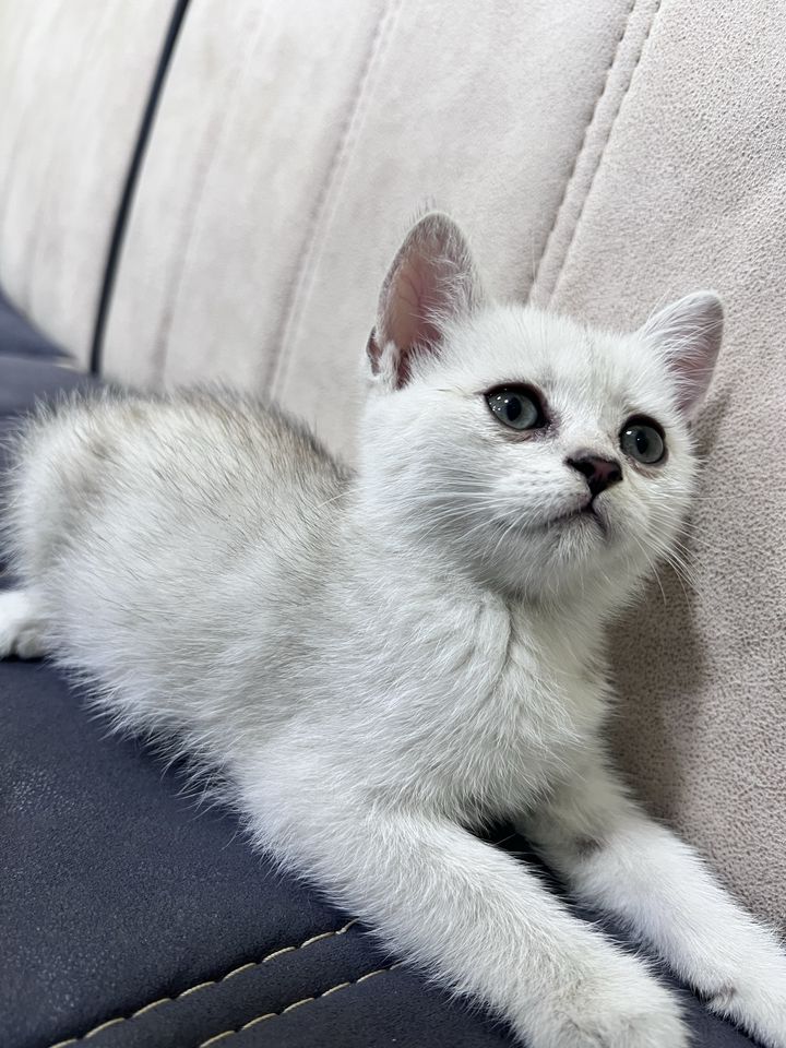 120 USD