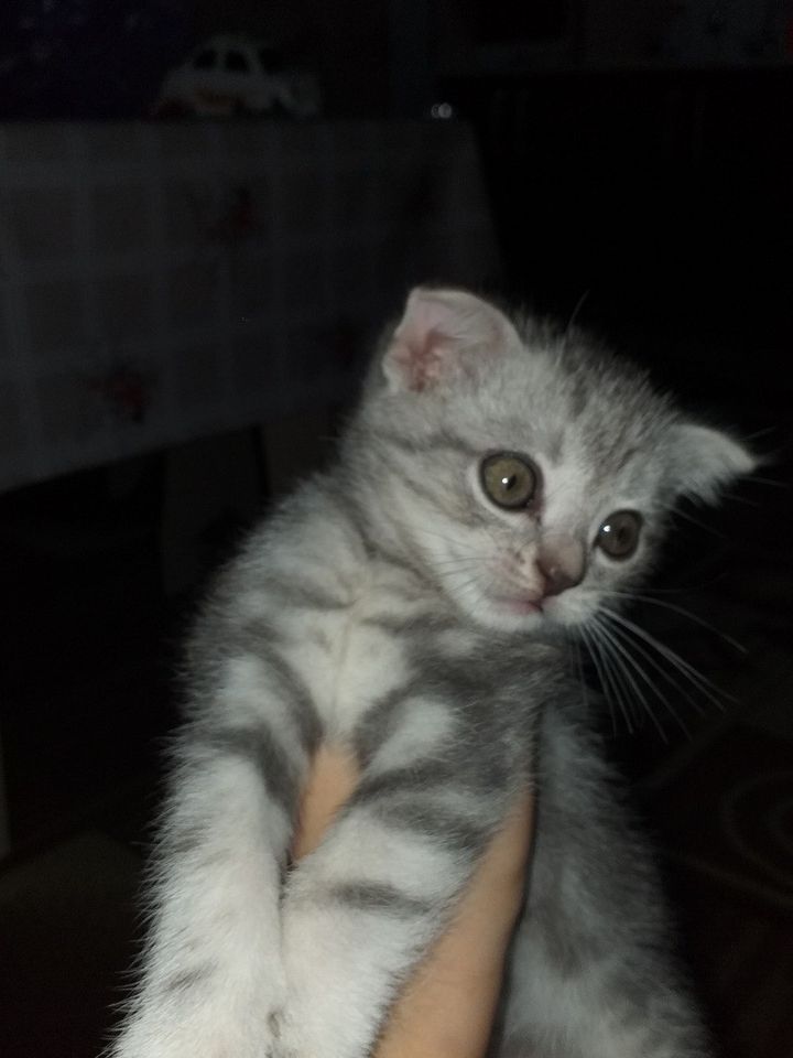 1 000 000 UZS