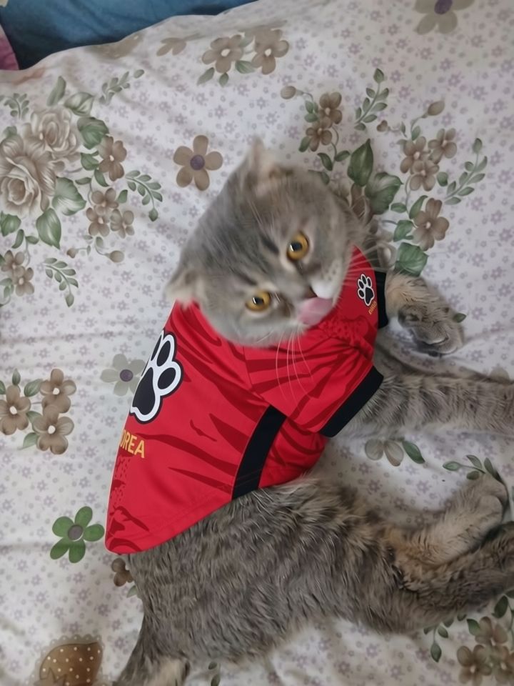 150 USD