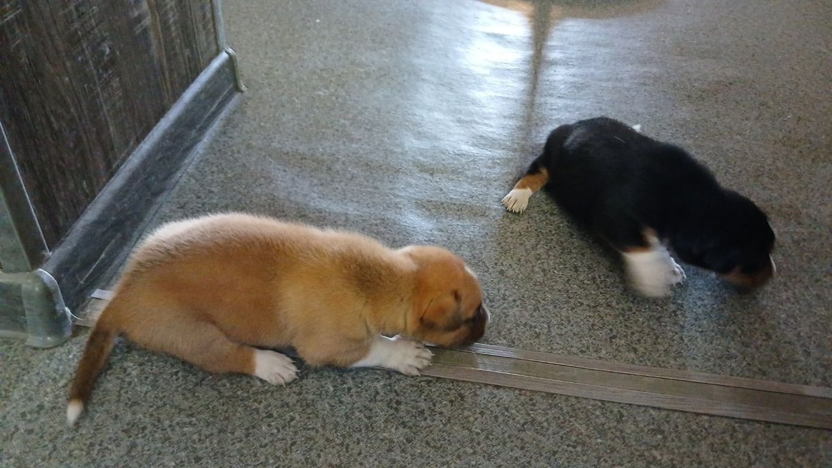 300 000 UZS