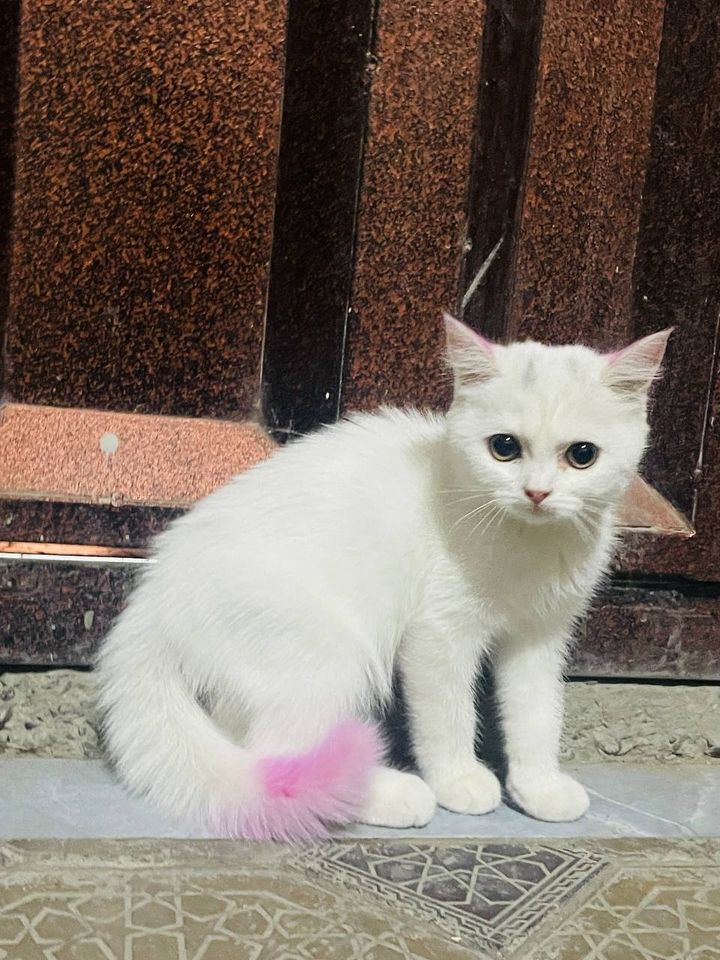 700 000 сум