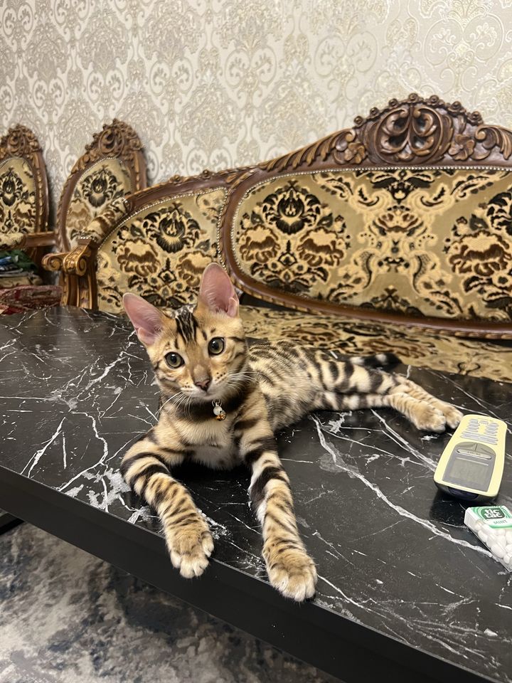 6 000 000 сум