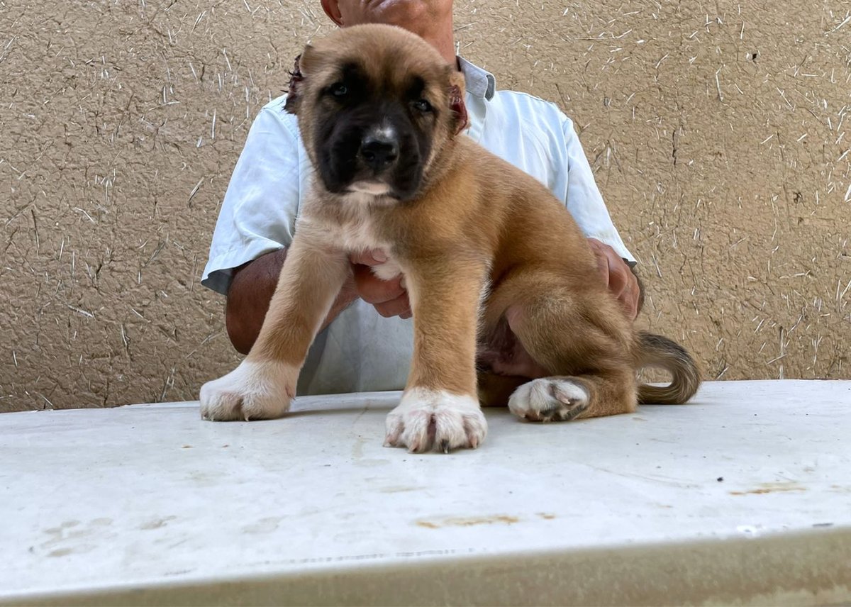 120 USD