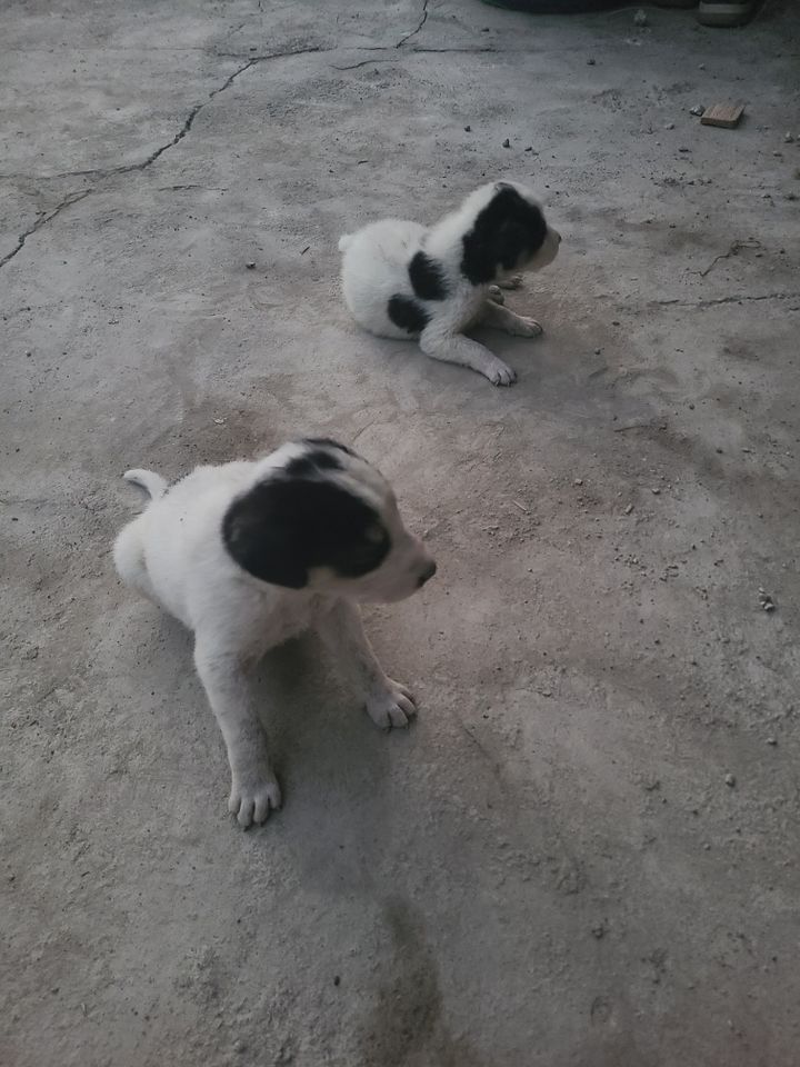 1 000 000 UZS