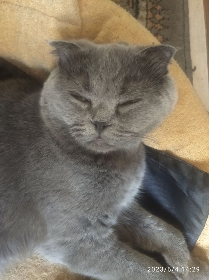 1 500 000 сум