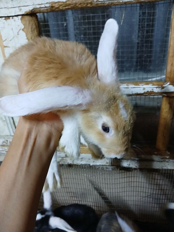 50 000 сум