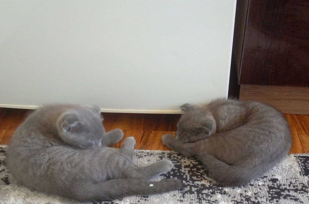 500 000 сум