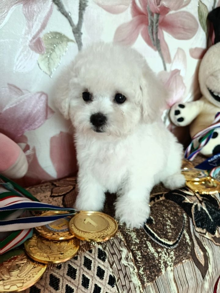 400 USD
