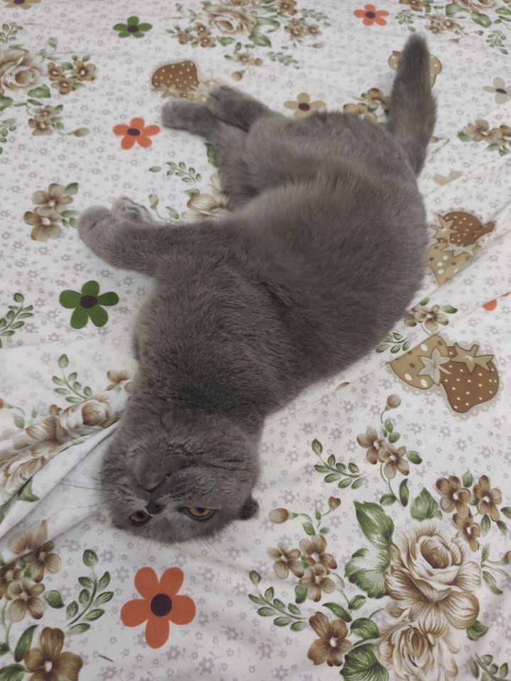 800 000 сум