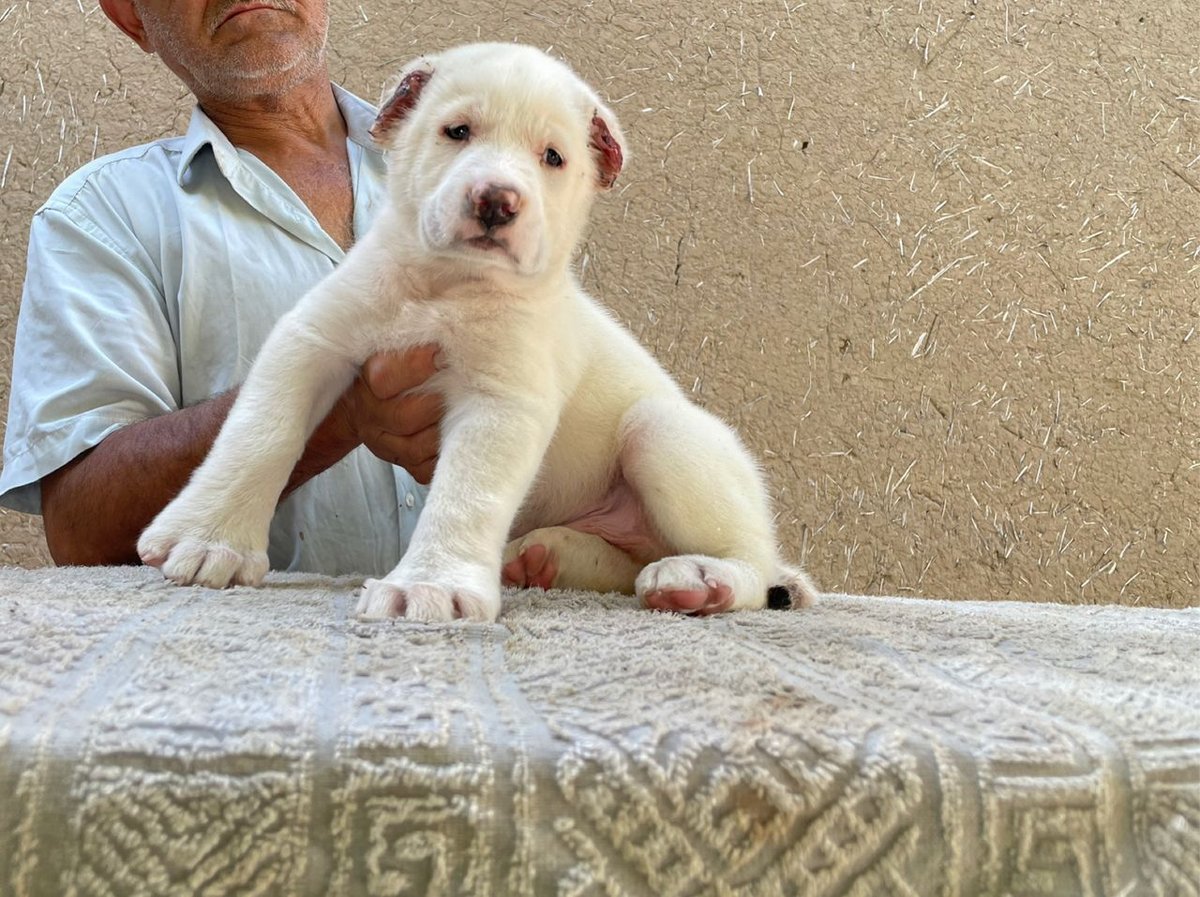120 USD