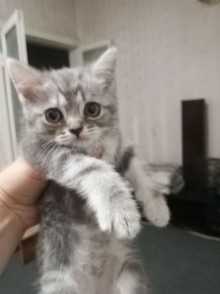 500 000 сум