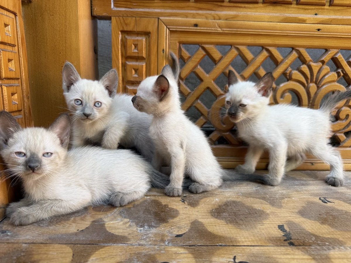200 000 сум