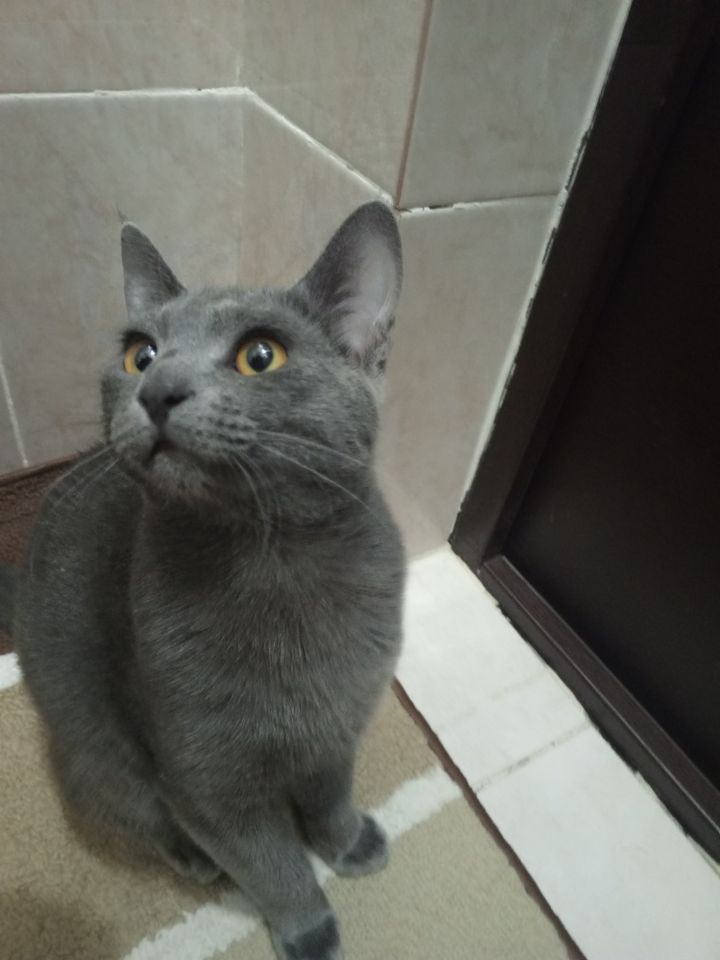 500 000 сум