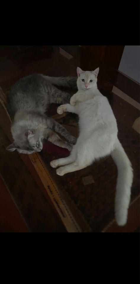 1 200 000 сум