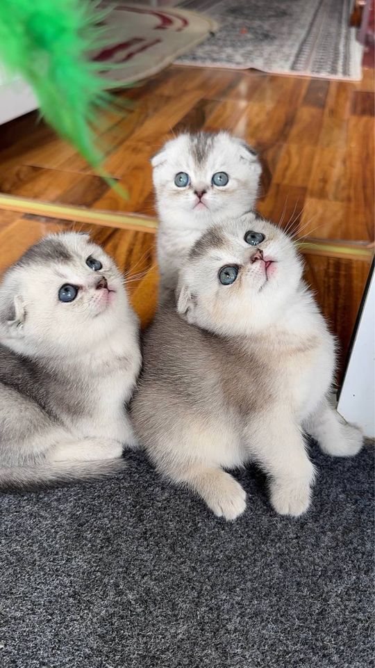 400 000 сум