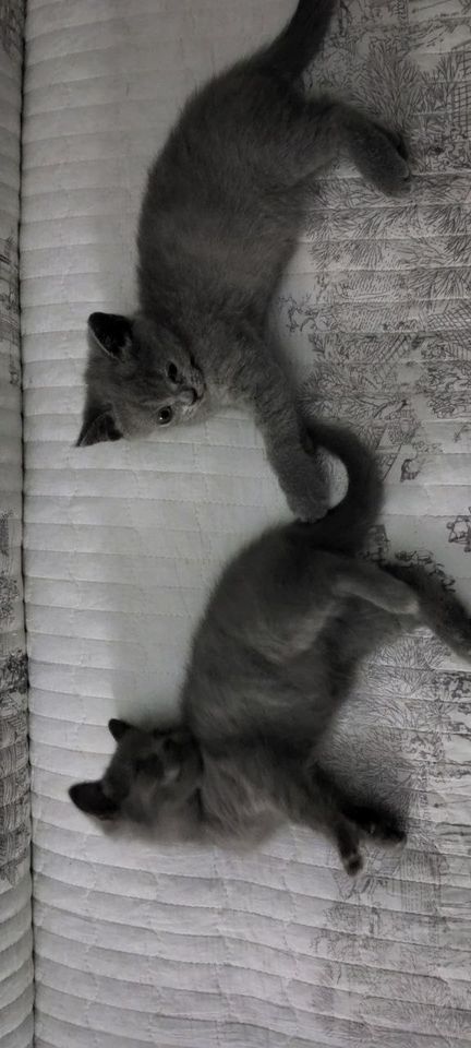 1 000 000 сум