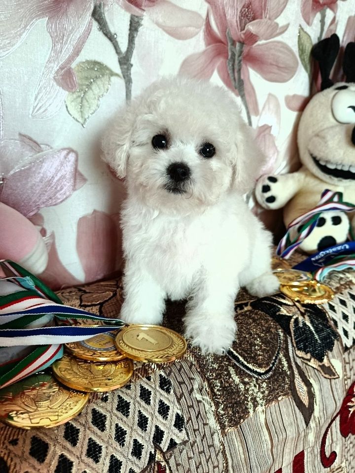 400 USD
