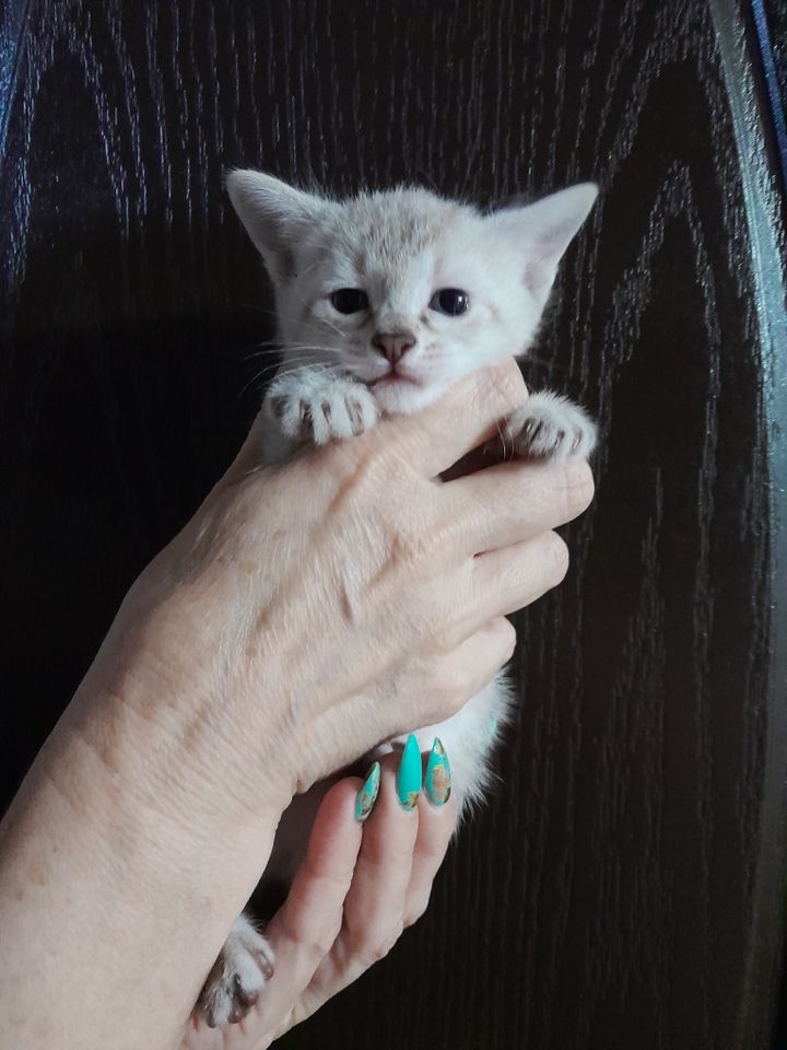 250 000 сум