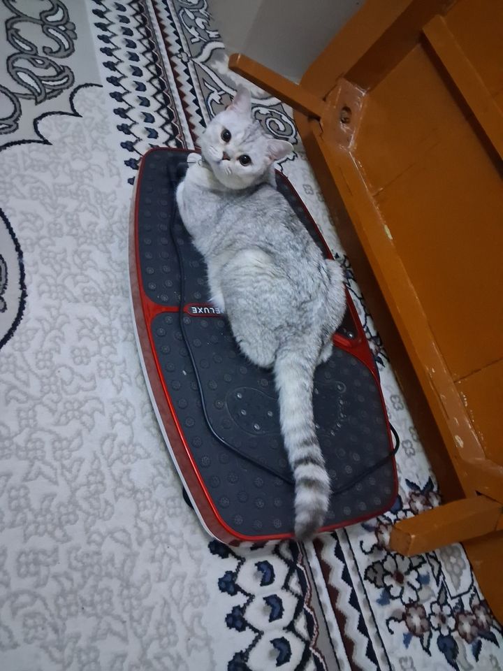 400 000 сум