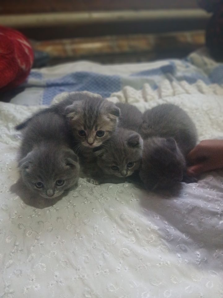 1 000 000 сум