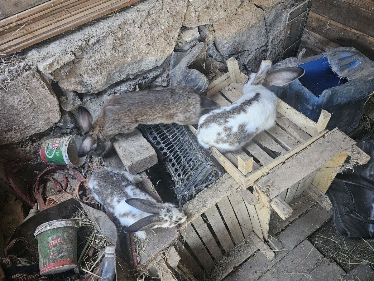 370 000 сум