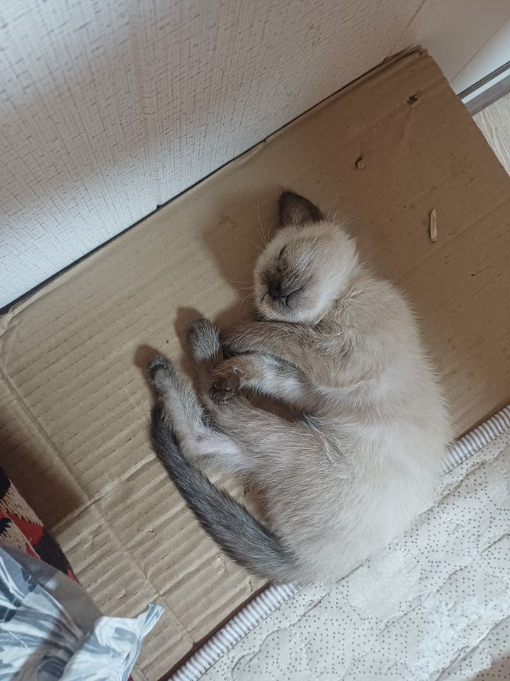 400 000 сум
