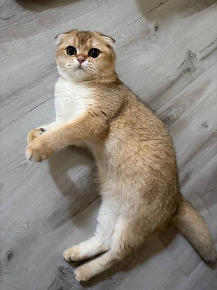 1 800 000 сум