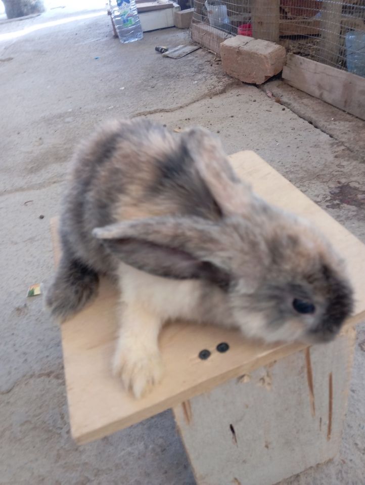 70 000 сум