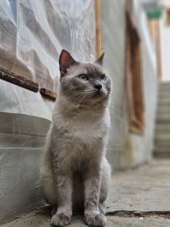 600 000 сум