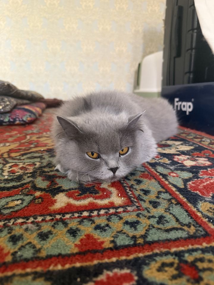 1 000 000 сум