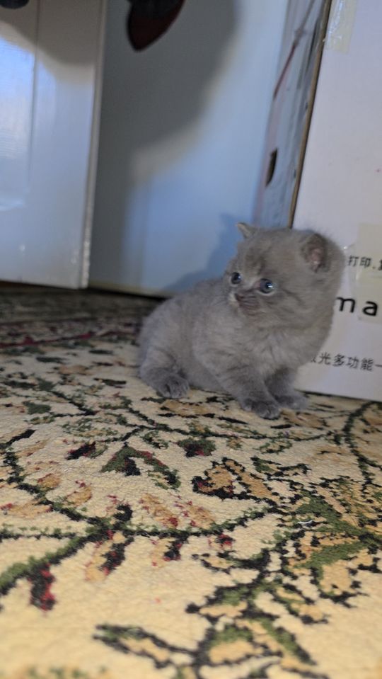 750 000 сум