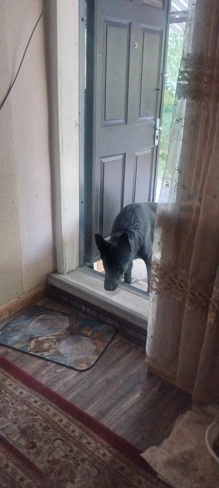 Бесплатно