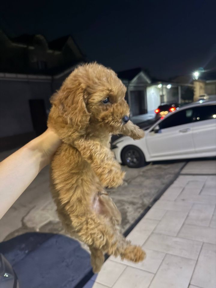 400 USD