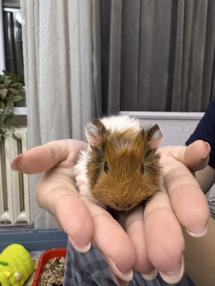 80 000 сум