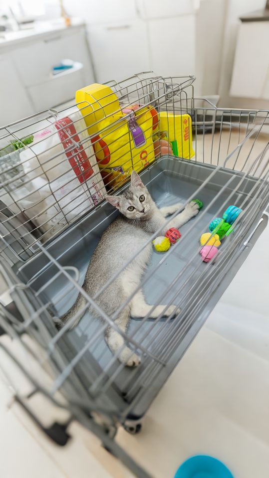 600 000 сум