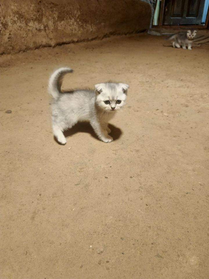 70 USD