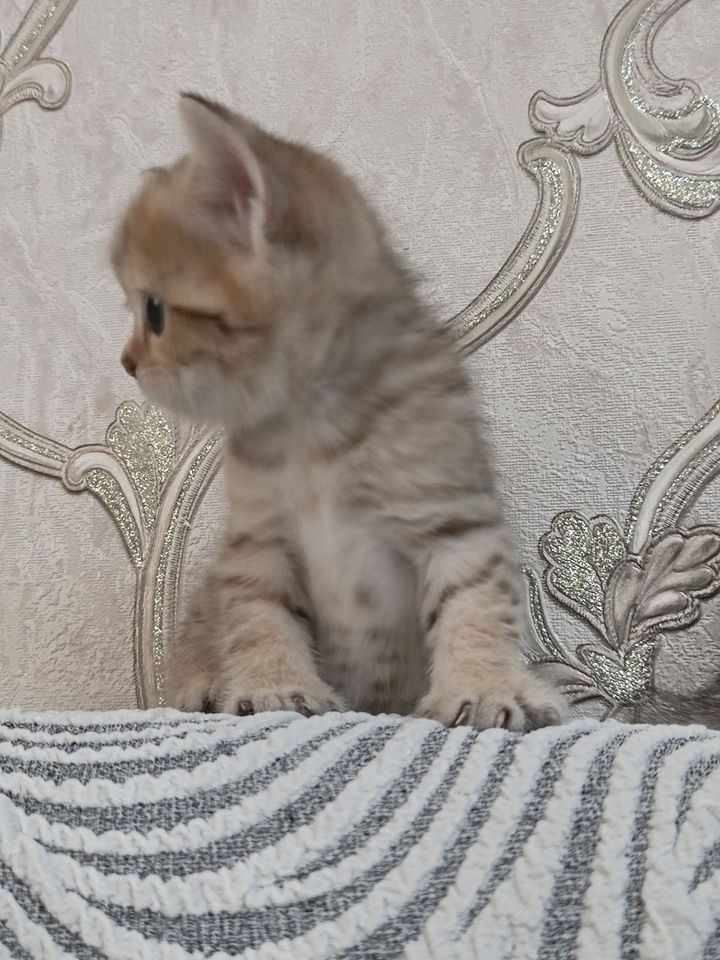 1 000 000 UZS