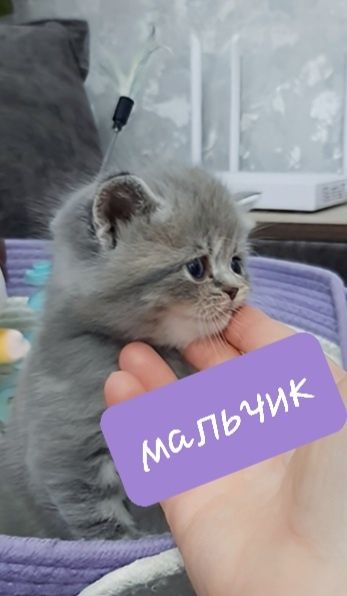 50 USD