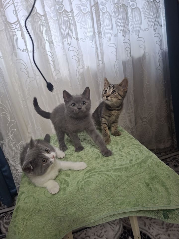 1 000 000 сум