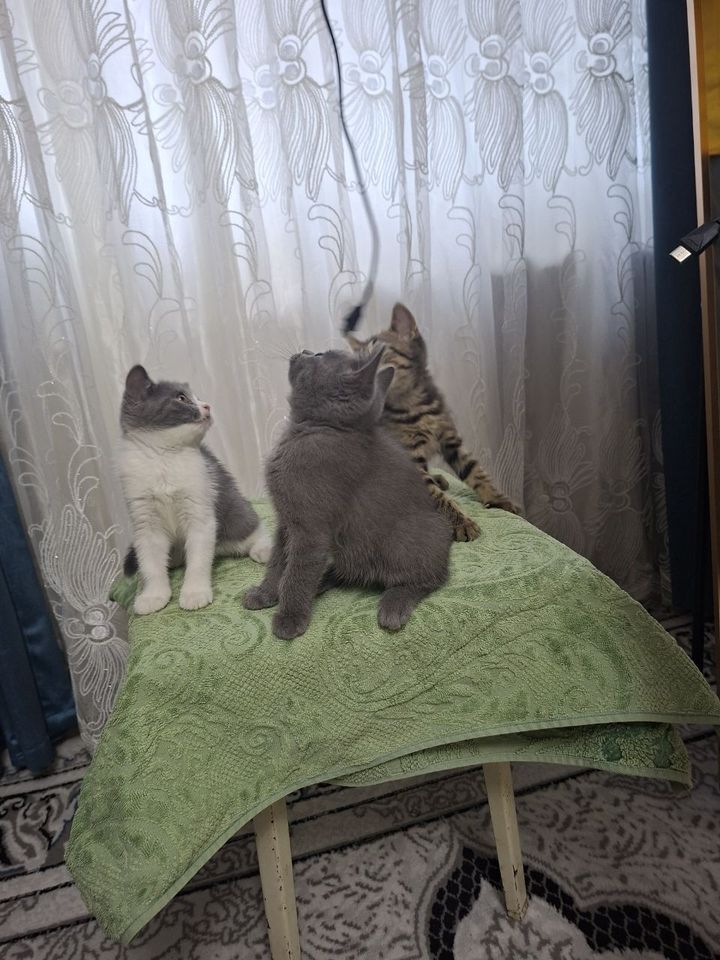 1 000 000 сум