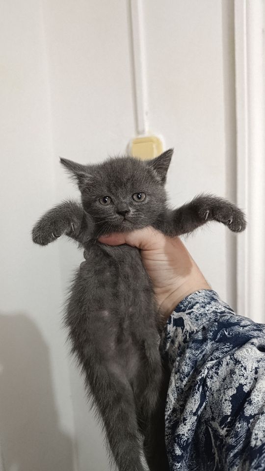 500 000 сум
