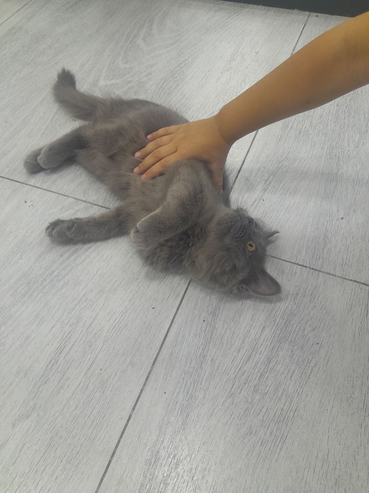 500 000 сум