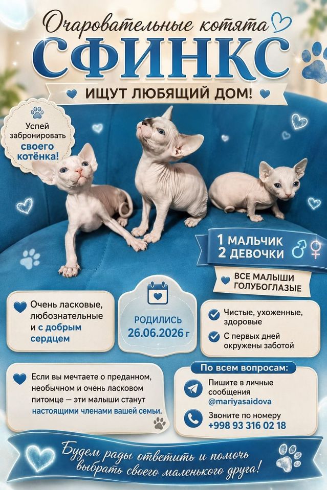 150 000 USD