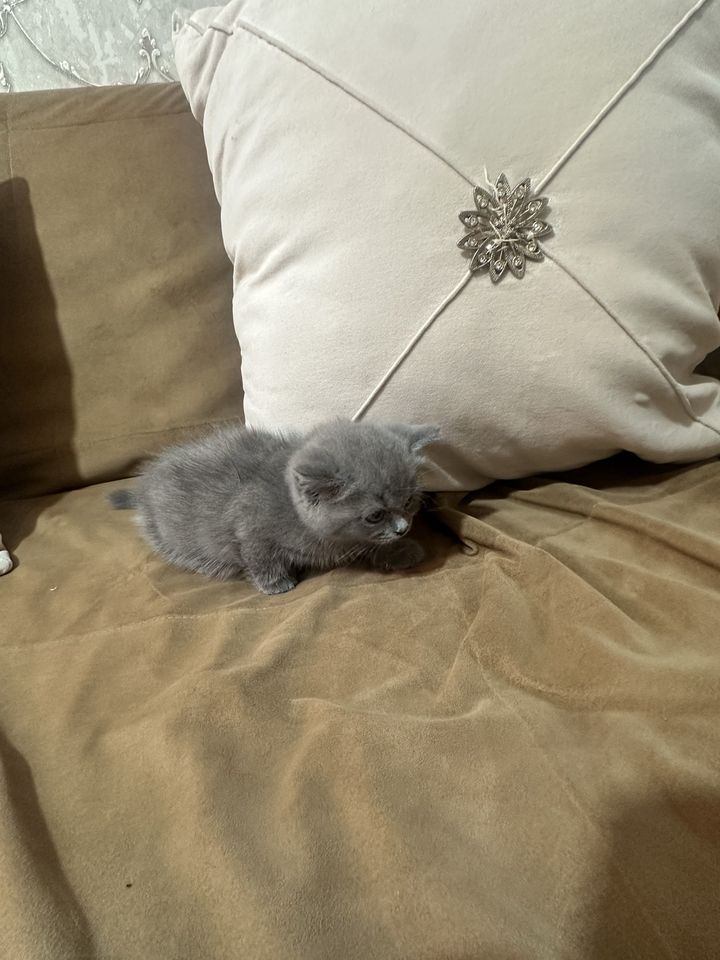 70 USD