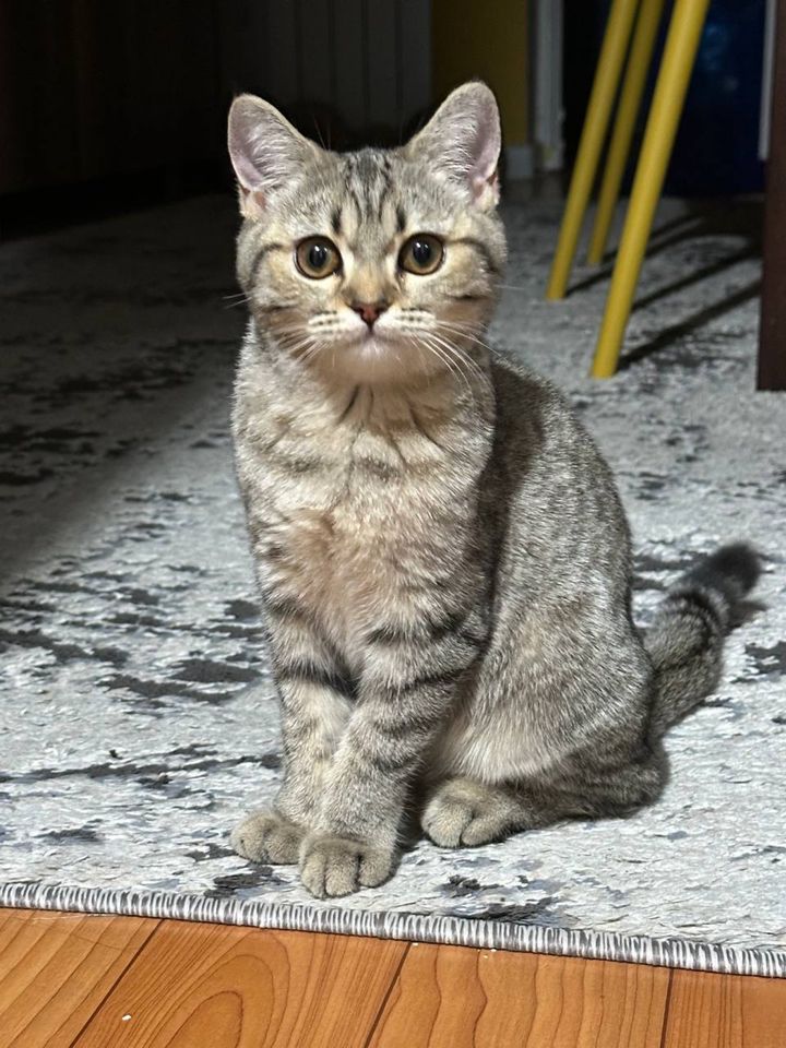 500 000 сум