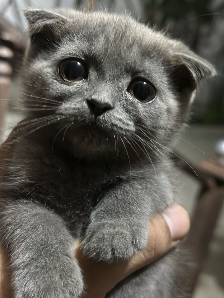 800 000 сум