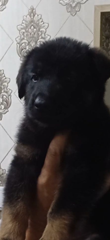 2 000 000 UZS