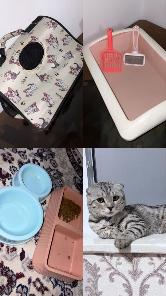 500 000 сум