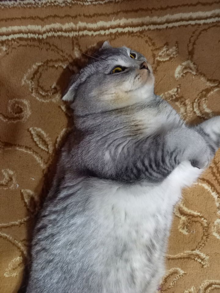 300 000 сум